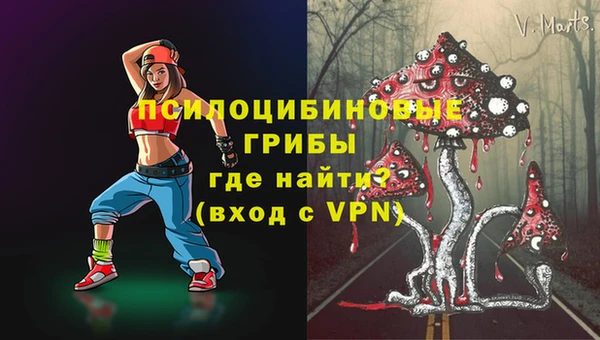 спиды Белокуриха
