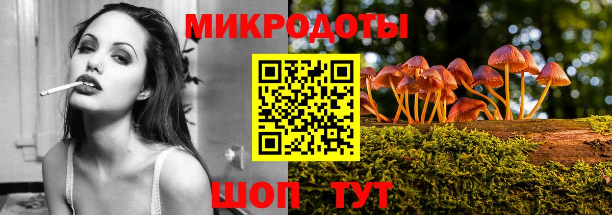 Галлюциногенные грибы Psilocybe  Вход с VPN  Дальнегорск 